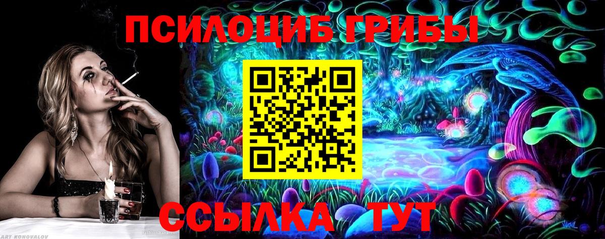 Галлюциногенные грибы Psilocybe Новозыбков
