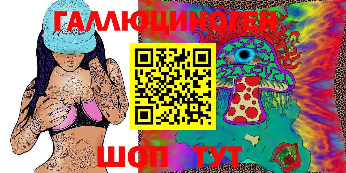 Новозыбков  Галлюциногенные грибы MAGIC MUSHROOMS  Вход с VPN  Галлюциногенные грибы ЛСД 