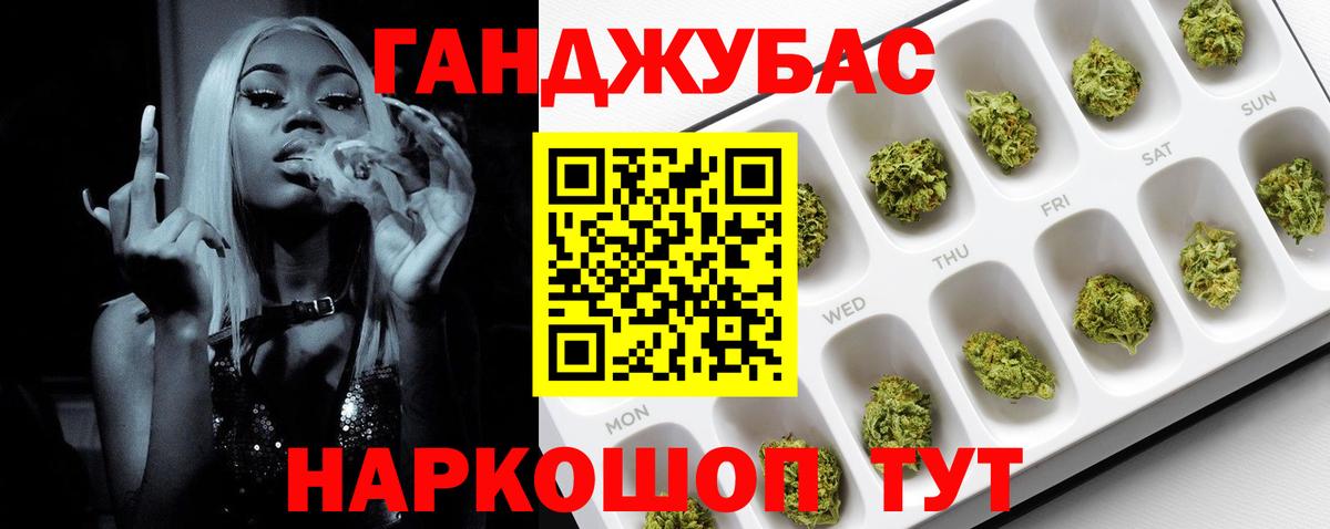 Каннабис план Новозыбков
